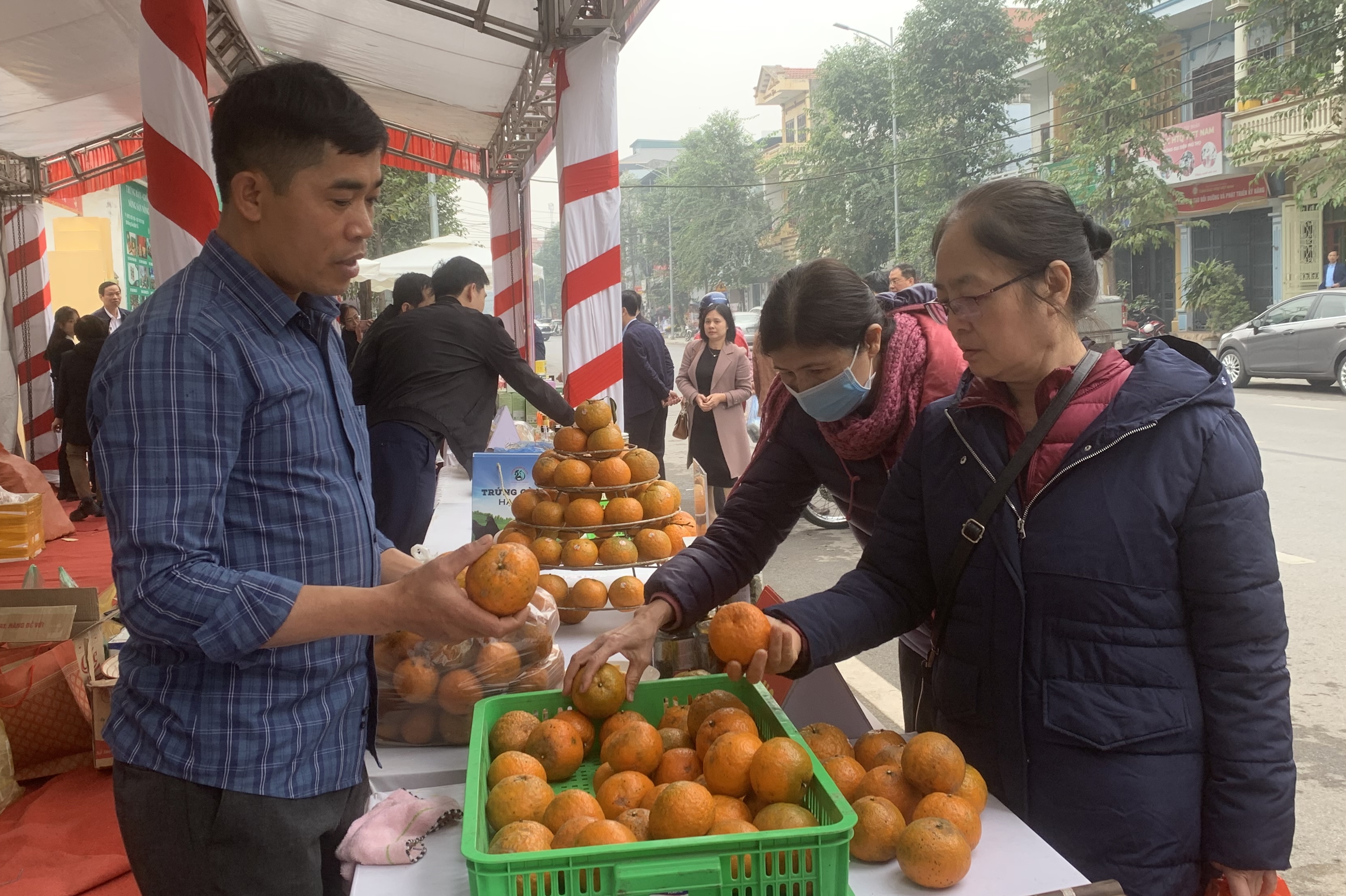 Trưng bày, giới thiệu sản phẩm OCOP, nông sản trong và ngoài tỉnh