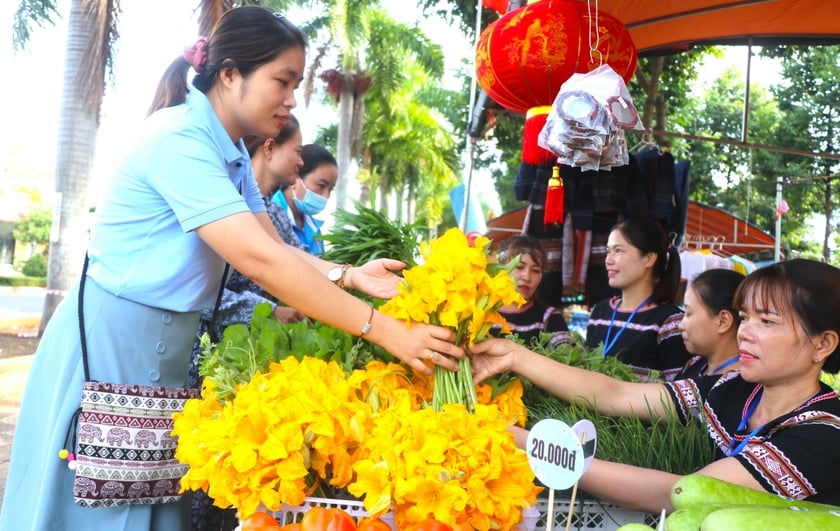 Dự kiến Ngày hội du lịch huyện Kbang sẽ có khoảng 170 gian hàng tham gia trưng bày, giới thiệu sản phẩm nông nghiệp, đặc sản của địa phương. Ảnh: Ngọc Minh