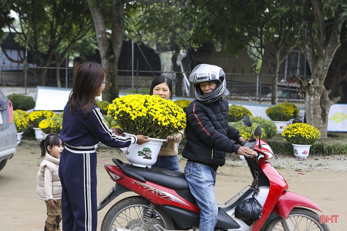 Các làng hoa khoe sắc rực rỡ đón tết