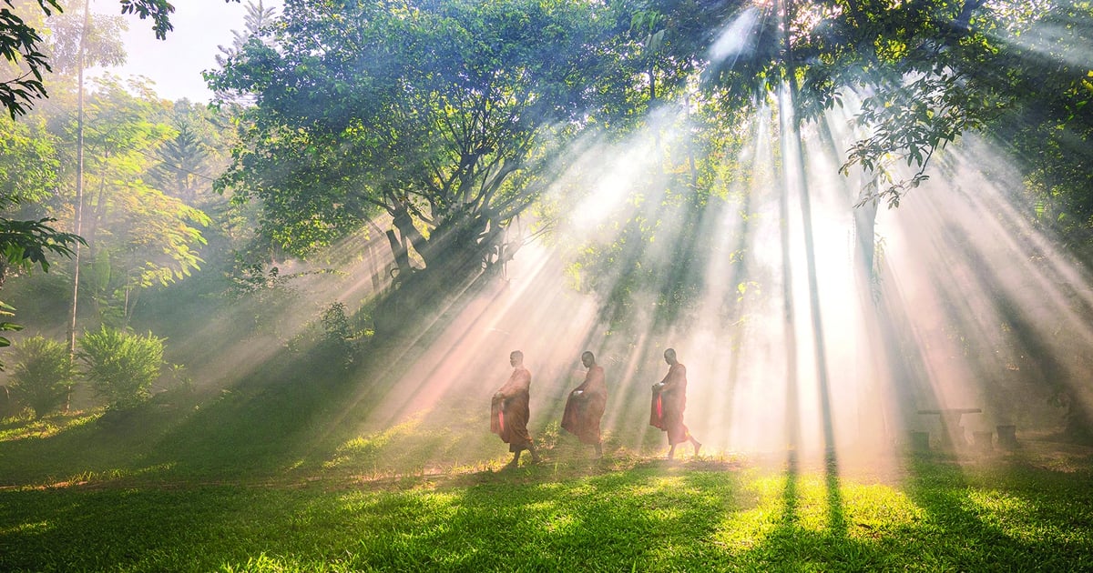 Nhân phẩm và hòa bình’