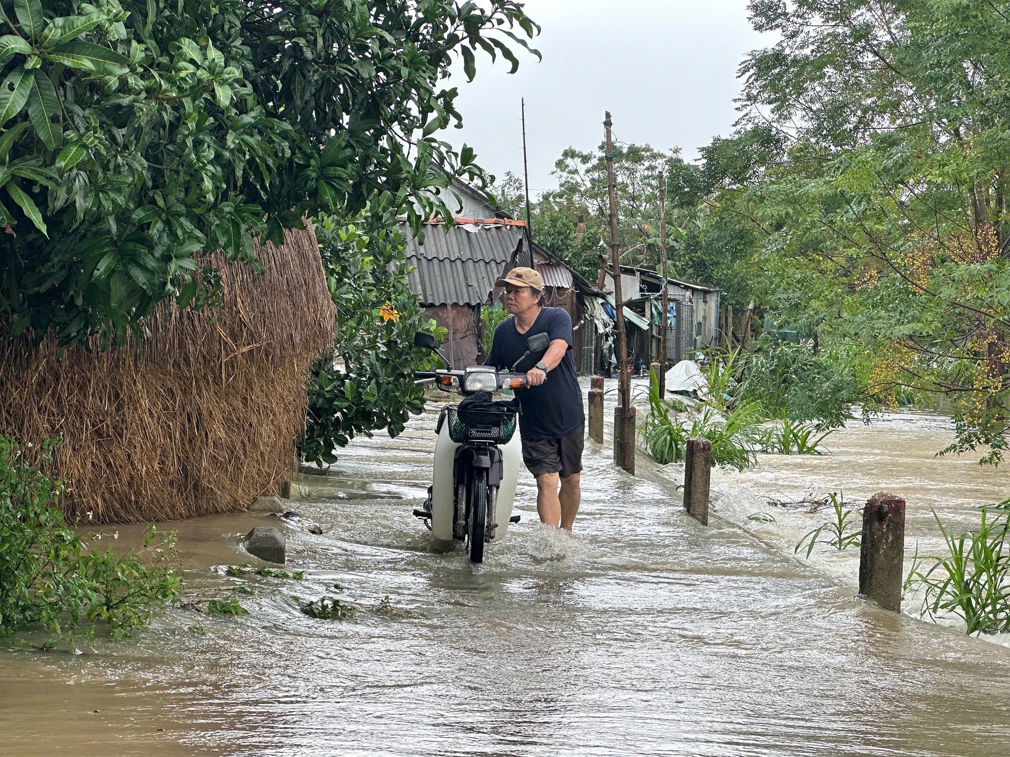 Las inundaciones aumentan rápidamente, decenas de casas en Quang Ngai sumergidas en el agua foto 8