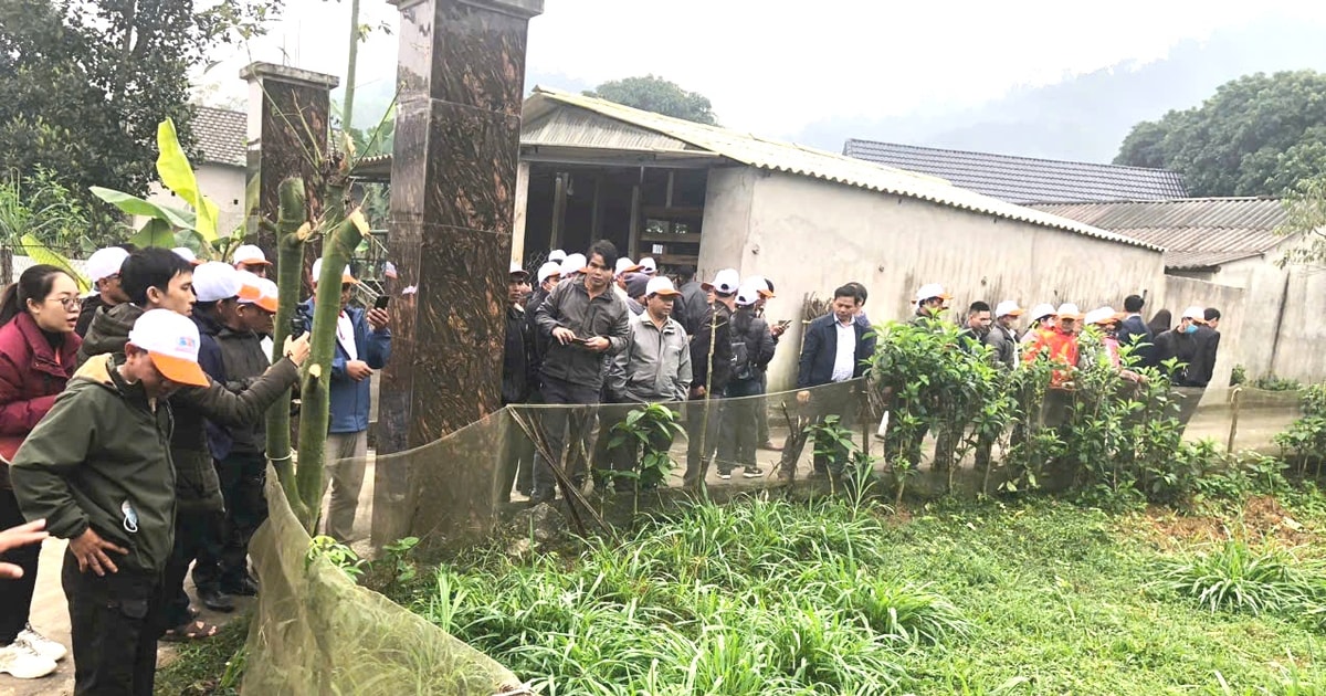 Đông Giang tham quan, học tập mô hình nuôi hươu sao tại Hà Tĩnh