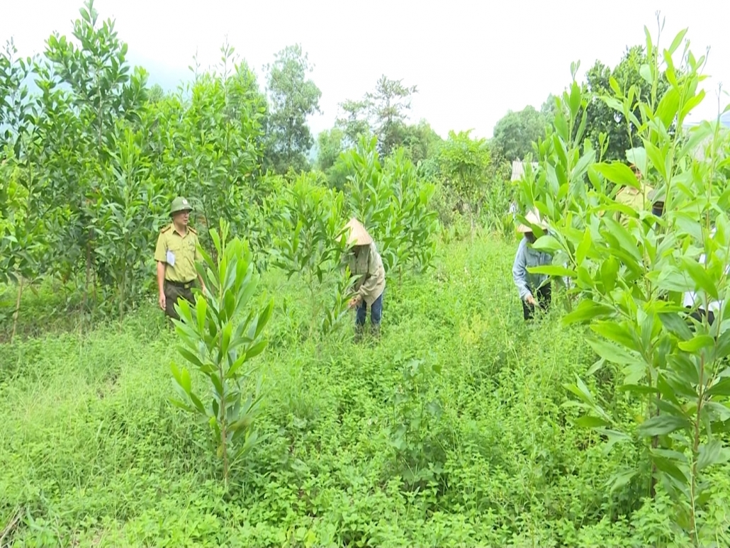 (Ban Chuyên đề- Bài CĐ BDT Cao Bằng) Động lực tháo gỡ “5 nhất” ở Cao Bằng: Thúc đẩy giảm nghèo bền vững (Bài 1) 2