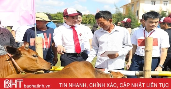 Agribank Chi nhánh Hà Tĩnh II trao sinh kế cho gia đình có hoàn cảnh khó khăn