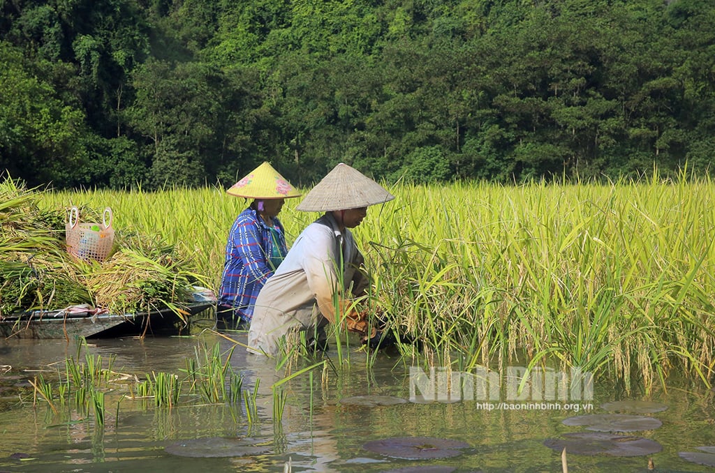 Bonne saison à Tam Coc