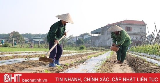 Tranh thủ trời khô ráo, nông dân Hà Tĩnh bám đồng sản xuất vụ đông