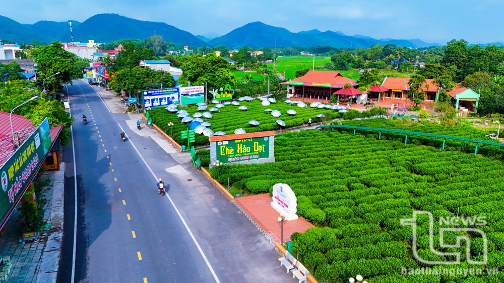 Không gian sản xuất và trải nghiệm của Hợp tác xã chè Hảo Đạt tại xã Tân Cương (TP. Thái Nguyên).