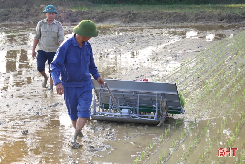 The first commune in Huong Son experiments with motorized rice transplanters