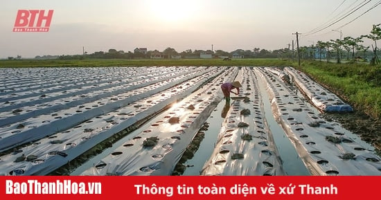 Tăng cường thực hiện các giải pháp phòng, chống hạn trong mùa khô năm 2024-2025