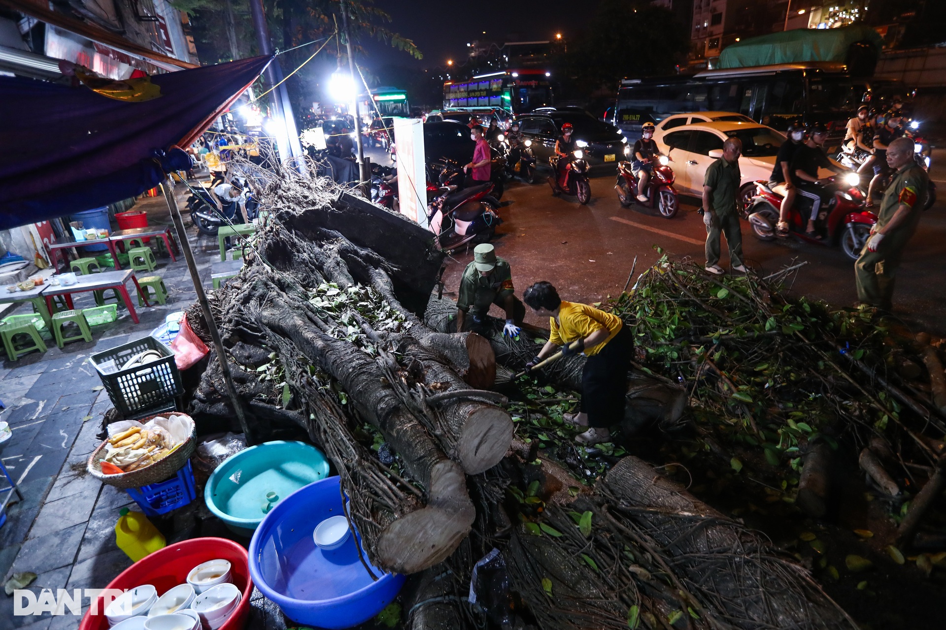 Đội tinh nhuệ từ các địa phương xuyên đêm dọn dẹp cây xanh hỗ trợ Hà Nội - 1