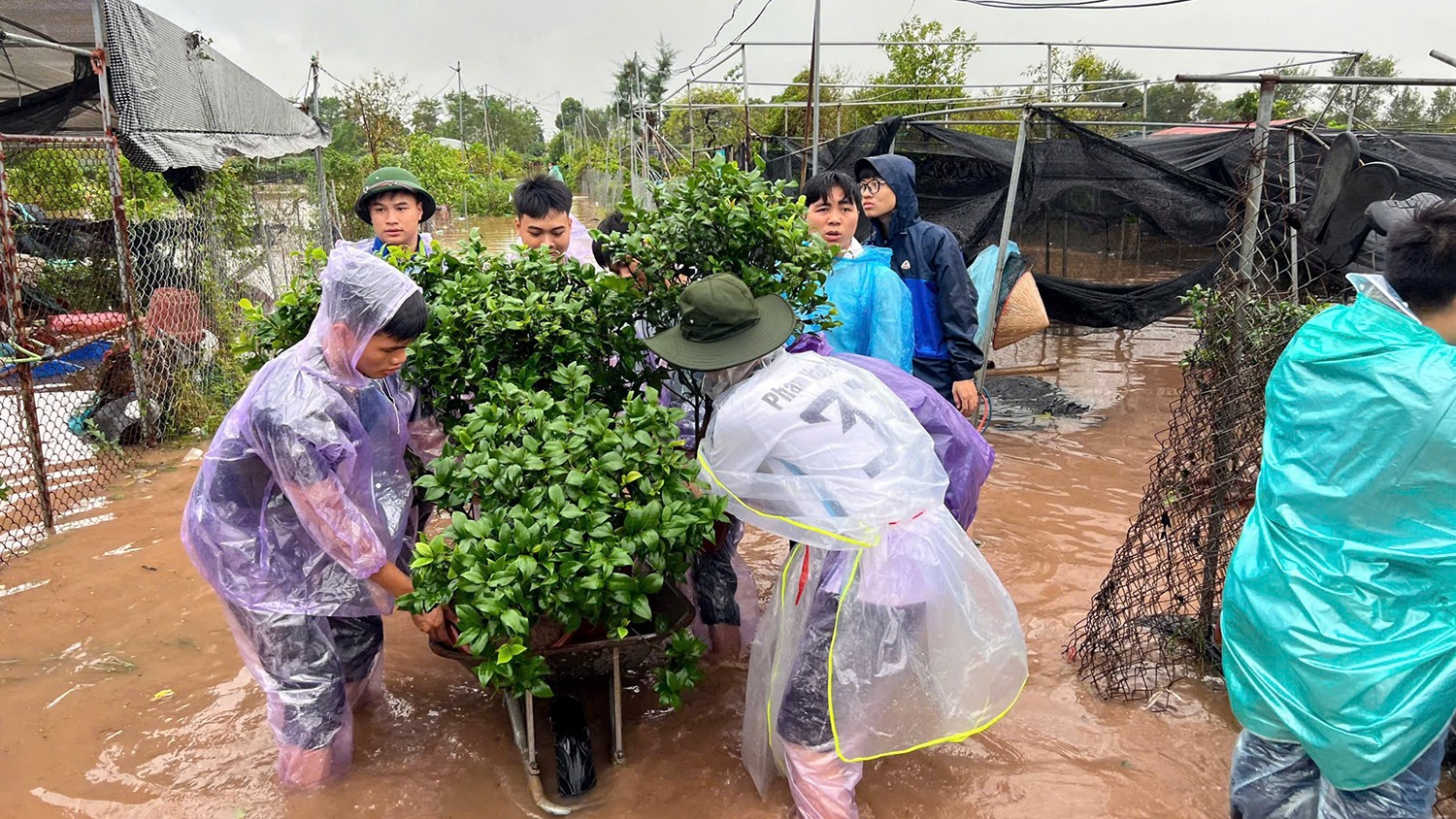 Tuổi trẻ Hưng Yên 'dầm mưa' chạy lũ với nông dân ảnh 4