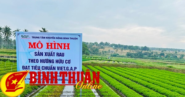 Hội thảo mô hình “Sản xuất rau hướng hữu cơ đạt chứng nhận VietGAP”