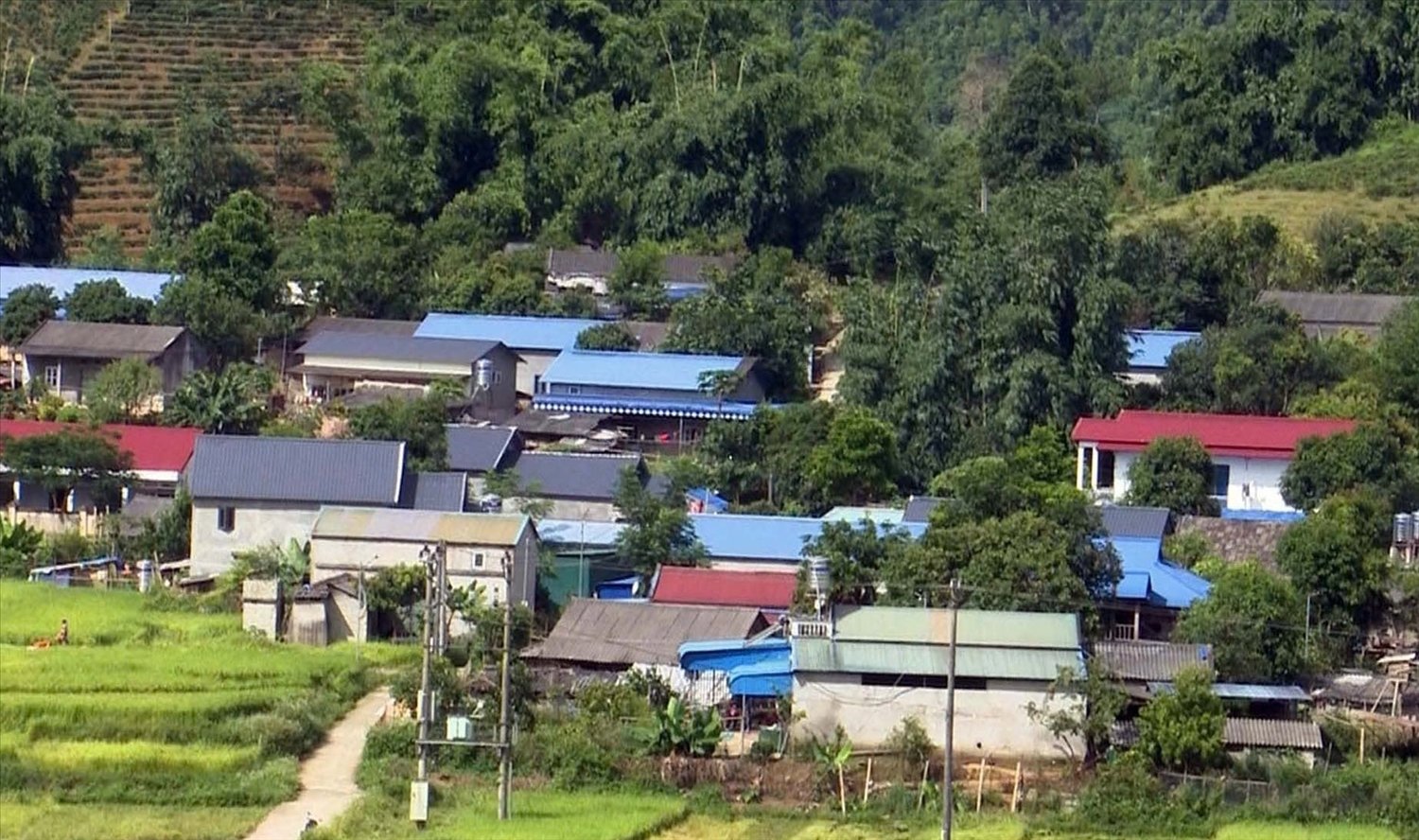 Nouvelle apparence rurale dans le district montagneux de Tam Duong