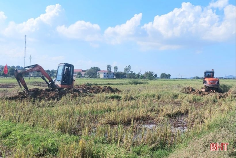 Tranh thủ thời điểm “vàng”, đồng loạt tích tụ ruộng đất