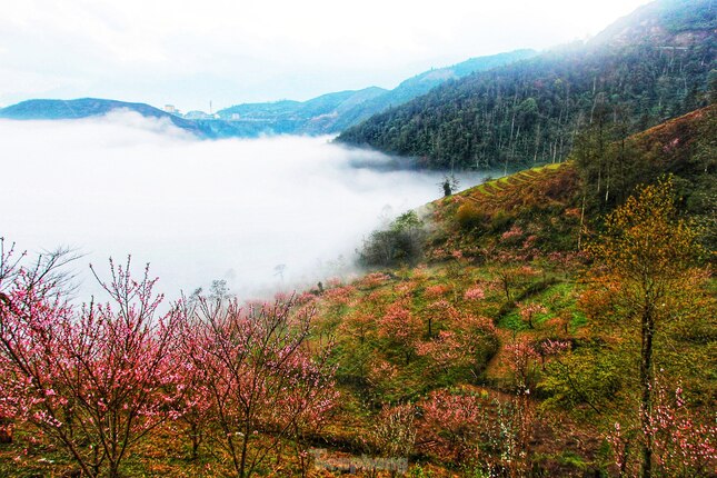 Lai Chau – Brillante Farben in den Bergen und Wäldern des Nordwestens, Foto 2