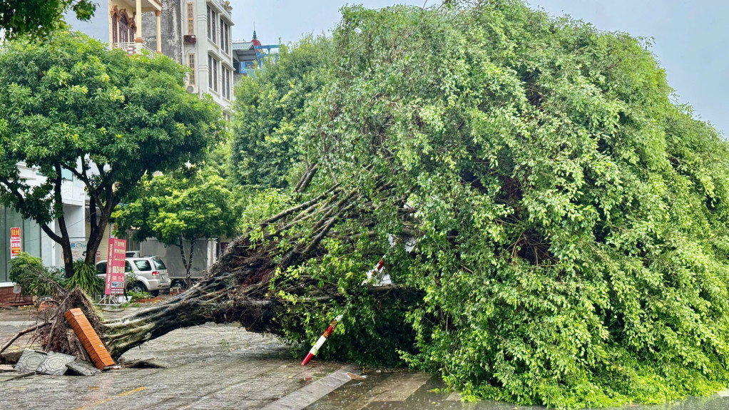 Hai Duong temporarily closes some sections and routes due to storm No. 3