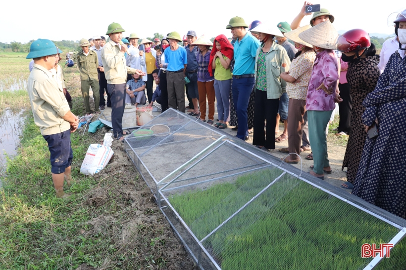 The first commune in Huong Son experiments with motorized rice transplanters