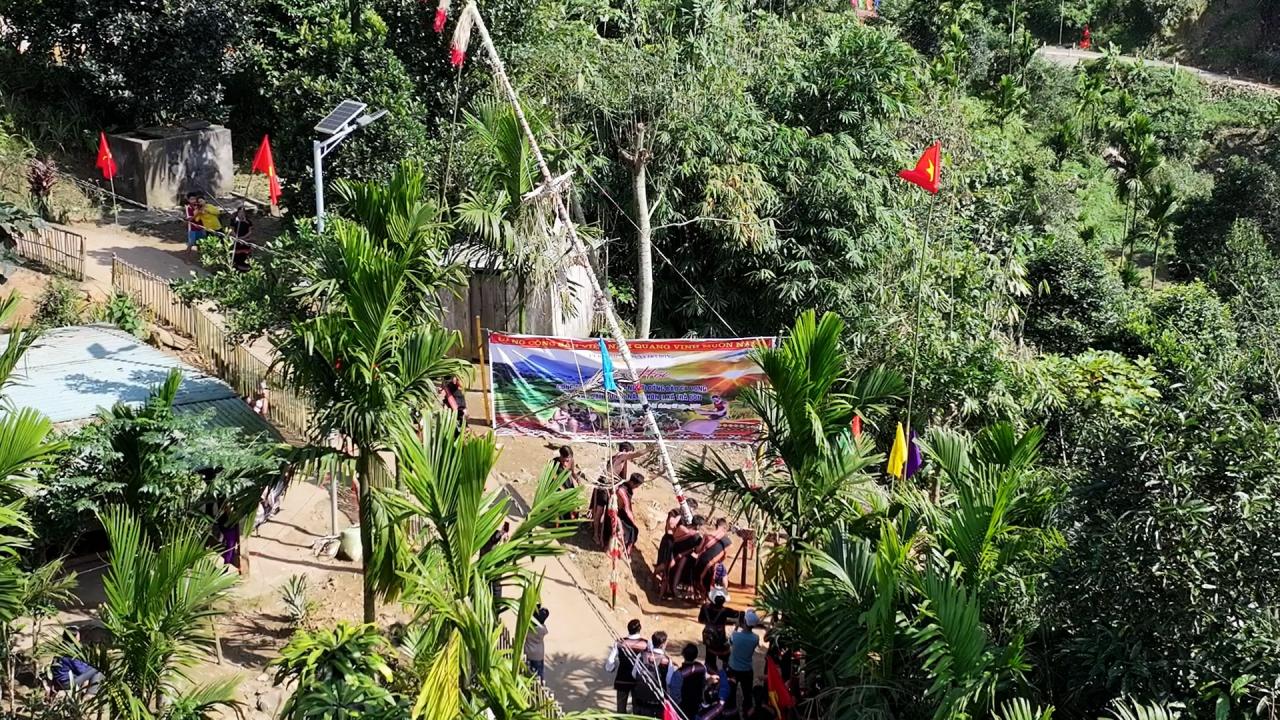 Stellen Sie zum Tet-Fest einen Baum auf. Foto: THIEN TUNG