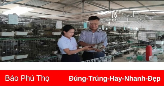 Nền tảng để tạo đà cho phát triển