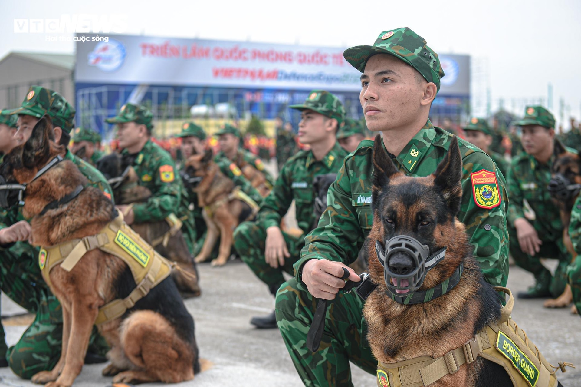 Dies ist das erste Mal, dass Militärhunde an einer Vorführung auf der Vietnam International Defense Exhibition teilgenommen haben.