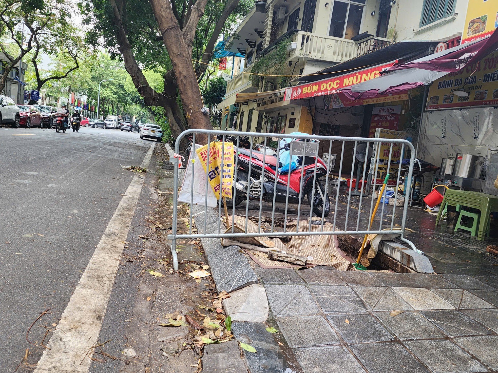 After cleaning up fallen trees, Hanoi begins to rebuild green space photo 6