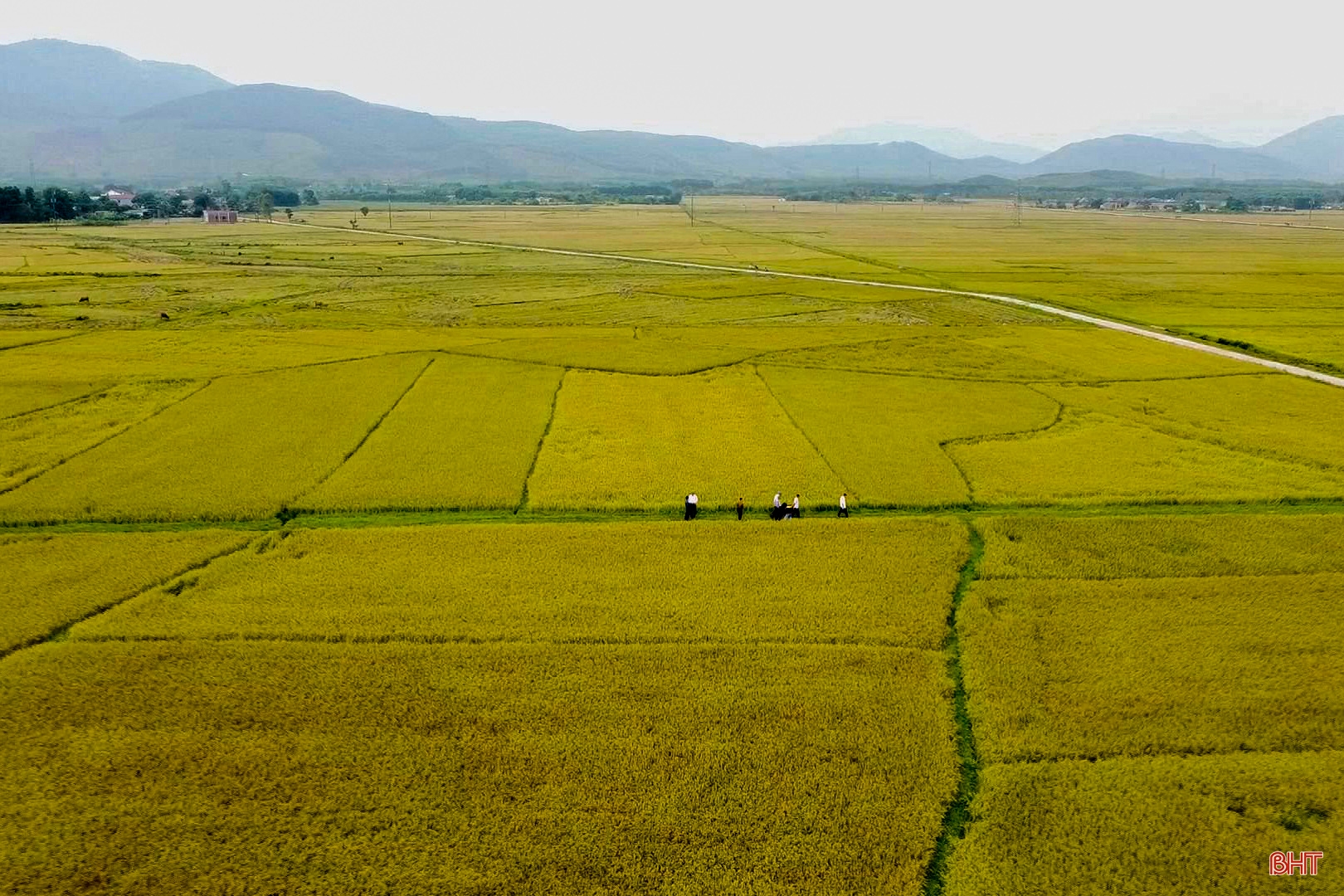 Xây dựng huyện nông thôn mới - Kỳ Anh nỗ lực bứt phá (bài 1): Tìm giá trị mới cho nông nghiệp, nông thôn