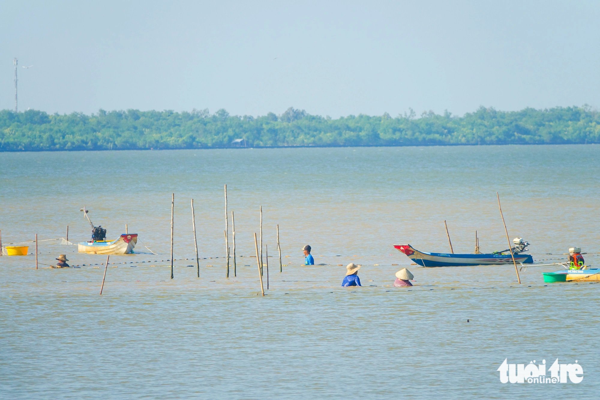 Săn cá, tép vùng biển bồi Kiên Giang để đón Tết - Ảnh 7.