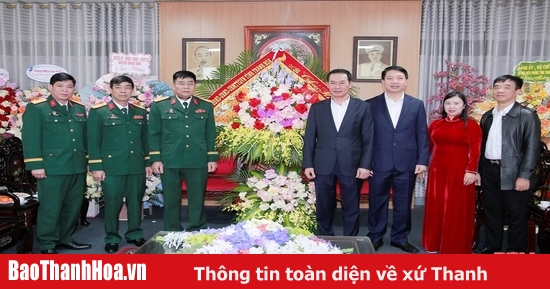 Los líderes provinciales de Thanh Hoa visitan y felicitan a la División 341