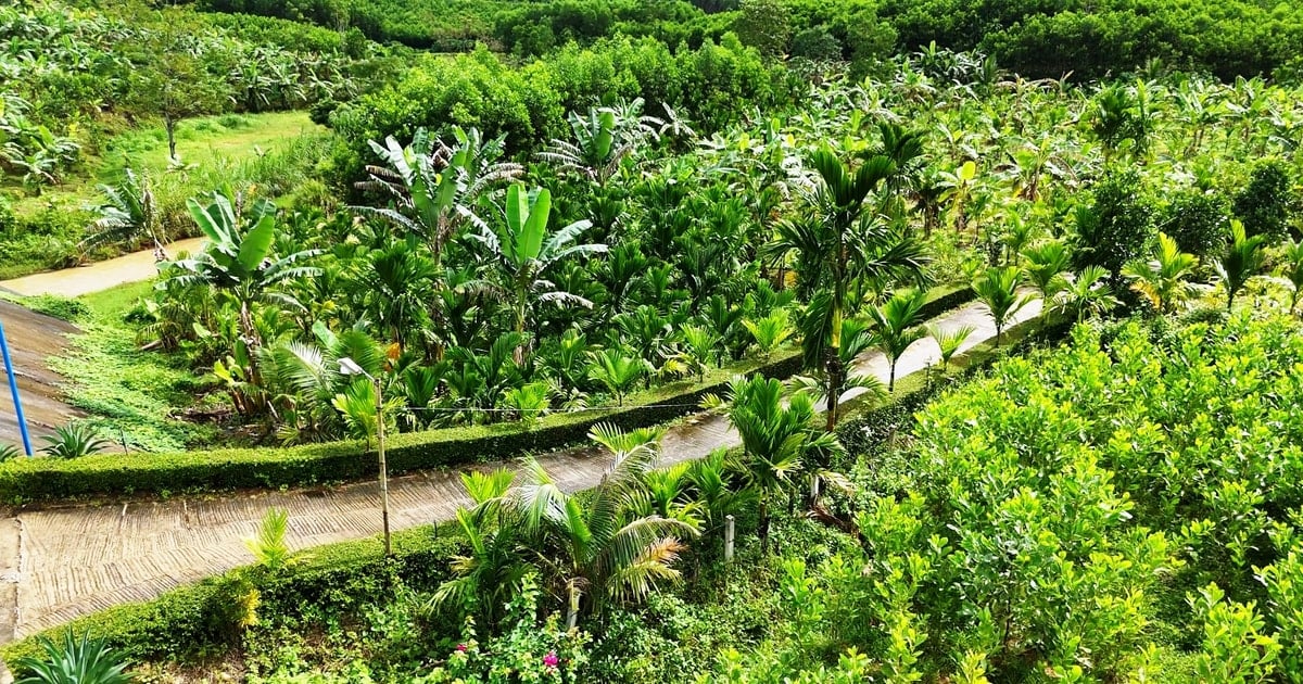 Tien Phuoc supports 9.8 billion VND to develop garden economy and farm economy