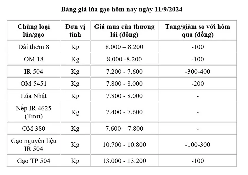 Giá lúa gạo hôm nay 11/9/2024: