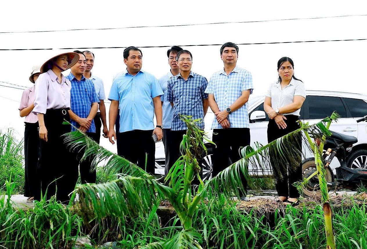 Bí thư Tỉnh ủy Hải Dương Trần Đức Thắng gửi thư cảm ơn cán bộ, nhân dân, các lực lượng chung sức khắc phục thiệt hại do bão số 3