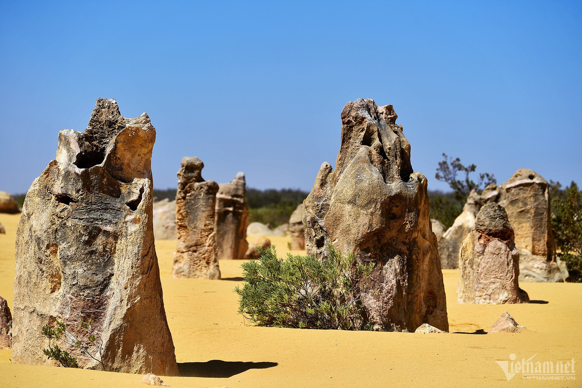 W-pinnacles-7-1.jpg