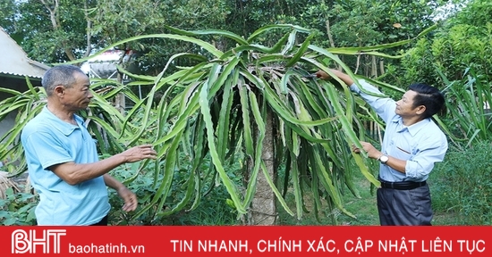 Những tấm gương “tuổi cao chí khí càng cao” ở Vũ Quang