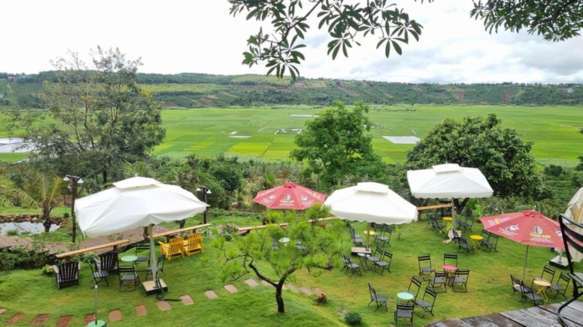 Một góc Zin's Farm của Hợp tác xã Nông nghiệp và dịch vụ Ia Kênh (làng Nhao 1, xã Ia Kênh). Ảnh: L.N