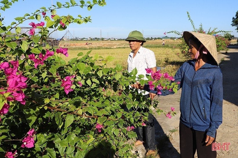 Nữ chi hội trưởng nông dân vùng giáo miệt mài xây phong trào