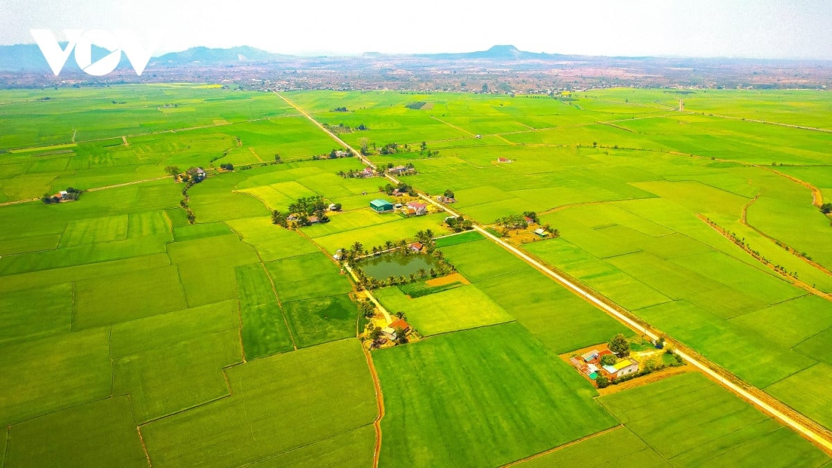 Dong xanh, mua vang o noi giao duyen giua song sau va nui lua hinh anh 2