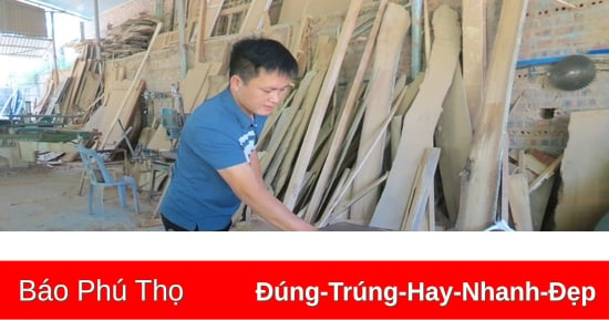 Tuổi trẻ Thanh Đình bám đất quê, xây cơ nghiệp