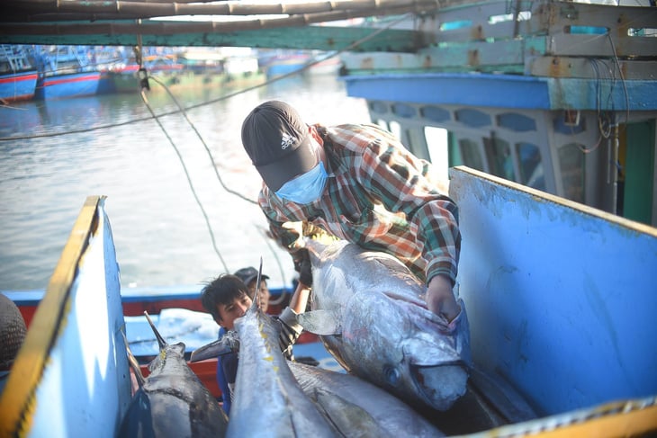 Vượt qua các 'ông lớn' quốc tế, cá ngừ đóng hộp Việt Nam đang là 'ngôi sao' tại Mỹ - Ảnh 1.