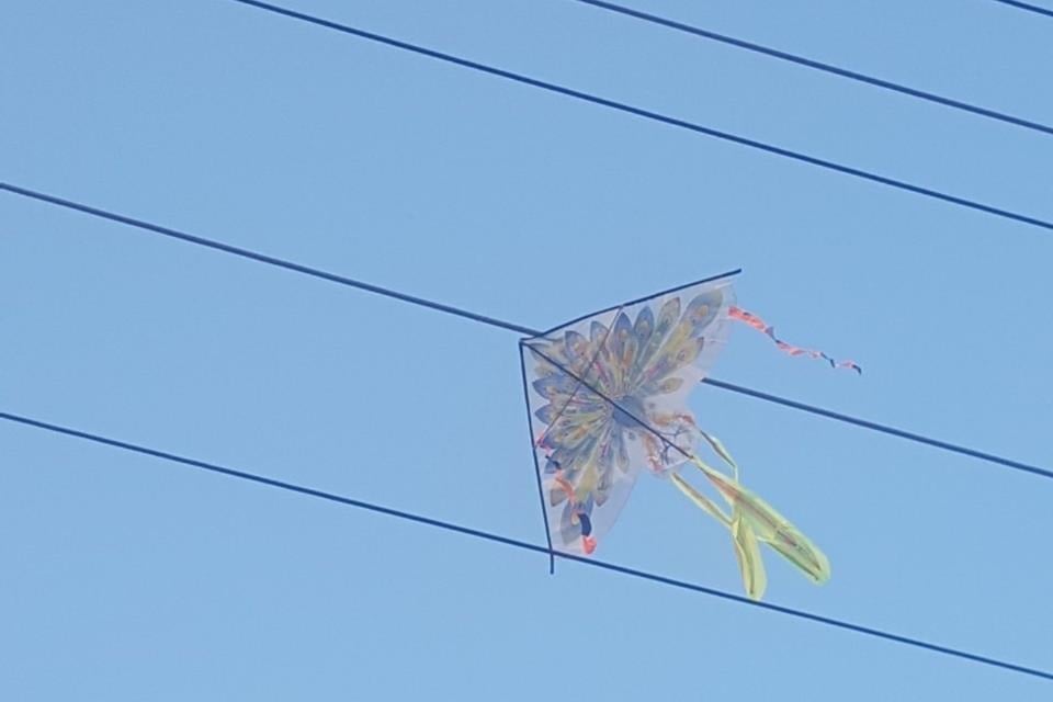 Danger of flying kites near power lines