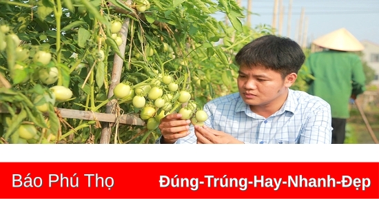 Sản xuất nông nghiệp thích ứng biến đổi khí hậu