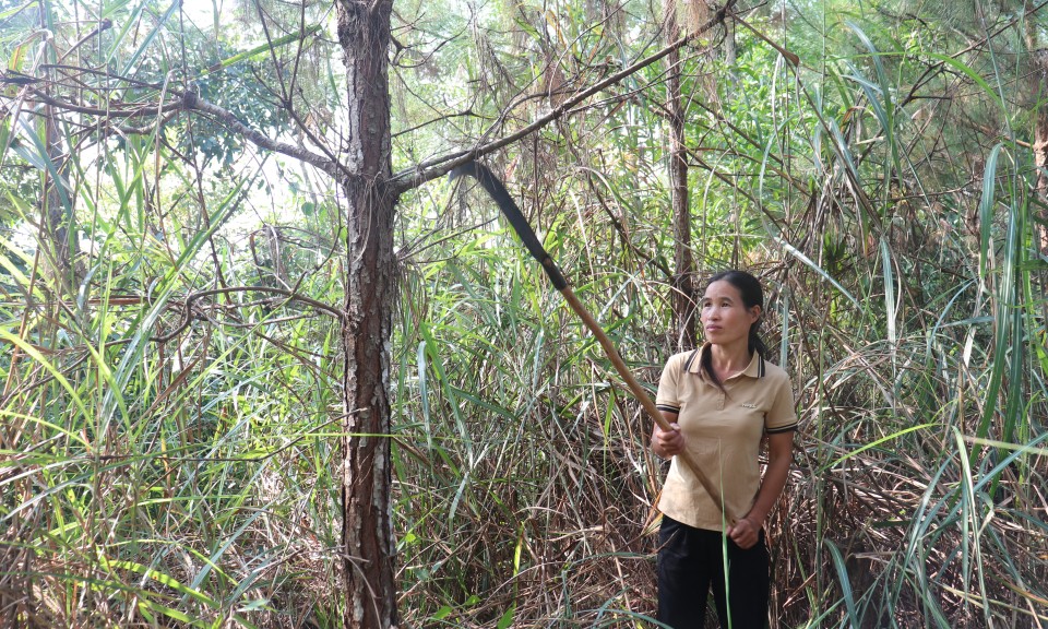 Programme de prêts préférentiels pour les ménages pauvres : « L'effet de levier » pour aider les habitants de Loc Binh à se soulever - Lang Son Newspaper : Actualités récentes, précises et fiables