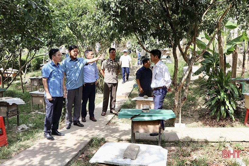 La comuna montañosa de Vu Quang se centra en la construcción de un nuevo modelo de zona rural