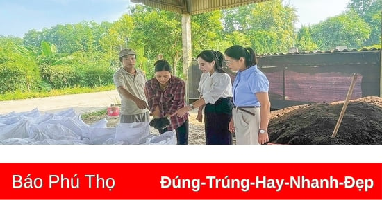 Phát triển nuôi giun quế mang lại nhiều lợi ích cho nông nghiệp và môi trường