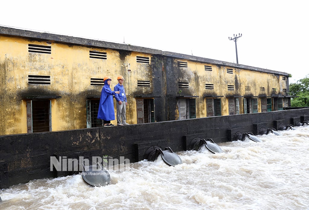 ปกป้องข้าวที่เพิ่งปลูกจากฝนตกหนักอย่างเข้มข้น