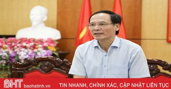 Hà Tĩnh phấn đấu diện tích gieo trồng vụ đông 2023 đạt gần 11.900 ha