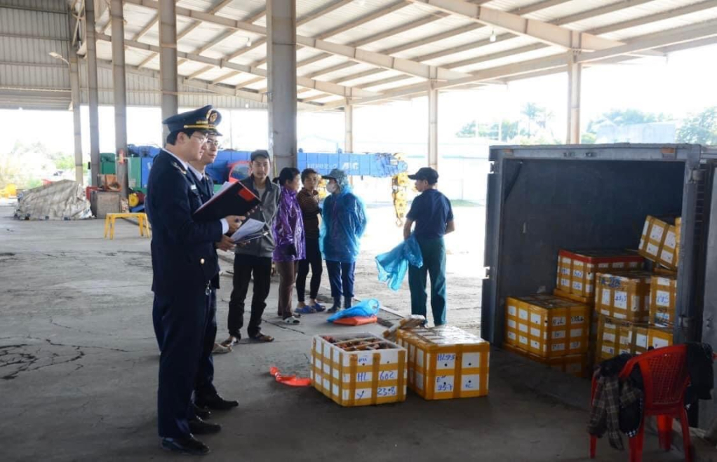 Officers of Mong Cai Border Gate Customs Branch closely inspect and supervise export goods at Bac Luan II Bridge clearance.