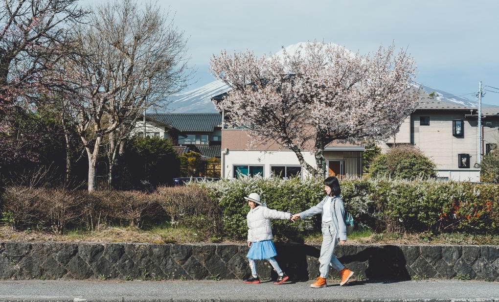 ベトナム人観光客が日本に集まる理由