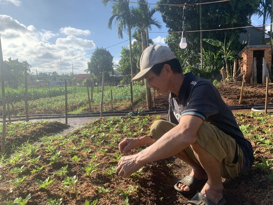 ໝູ່​ບ້ານ​ເກາະ​ໃນ​ລະ​ດູ​ດອກ​ໄມ້