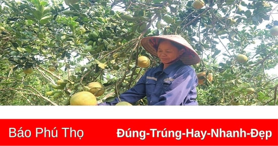 Quan tâm, hỗ trợ hội viên, phụ nữ nghèo