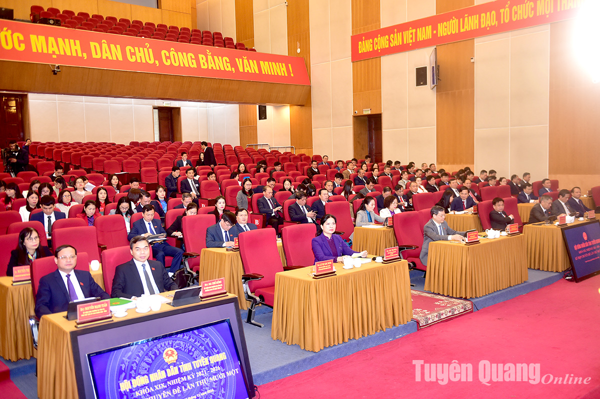 The 11th thematic session of the Provincial People's Council passed 17 important resolutions.